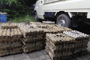 PMI Kirim Bantuan 100.000 Telur Asin ke Sumatera